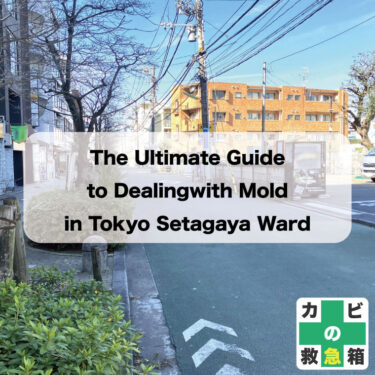 The Ultimate Guide to Dealing with Mold in Tokyo Setagaya-ku
