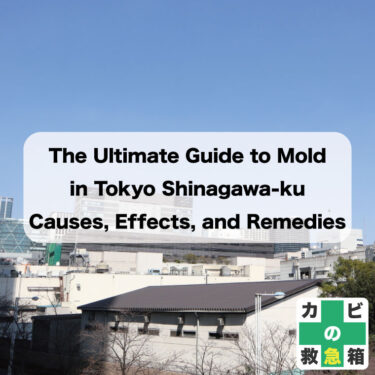 The Ultimate Guide to Mold in Tokyo Shinagawa-ku: Causes, Effects, and Remedies