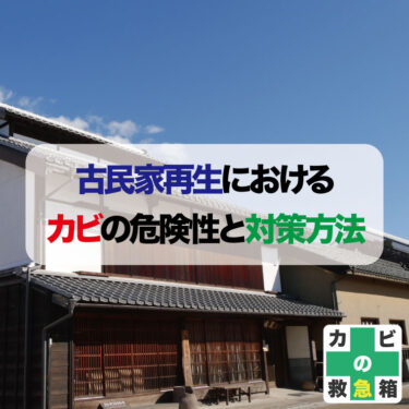 古民家再生におけるカビの危険性と対策方法　おすすめのカビ取り業者も紹介