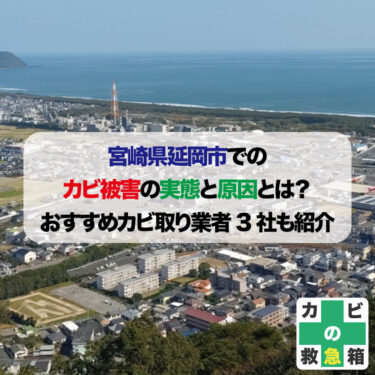 宮崎県延岡市でのカビ被害の実態と原因とは？おすすめカビ取り業者3社も紹介