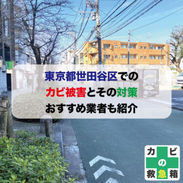 東京都世田谷区でのカビ被害とその対策 おすすめ業者も紹介
