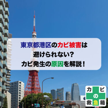 東京都港区のカビ被害は避けられない？カビ発生の原因を解説！おすすめ業者も