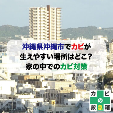 沖縄市でカビが生えやすい場所はどこ？家の中でのカビ対策とカビ取り業者紹介