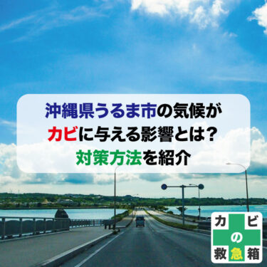 沖縄県うるま市の気候がカビに与える影響とは？対策方法を紹介 オススメのカビ取り業者まで