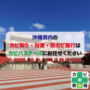 沖縄県内のカビ取り・対策・防カビ施行はカビバスターズにお任せください