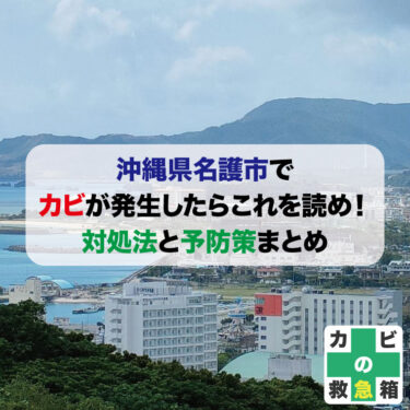 沖縄県名護市でカビが発生したらこれを読め！- 対処法と予防策まとめとオススメ業者