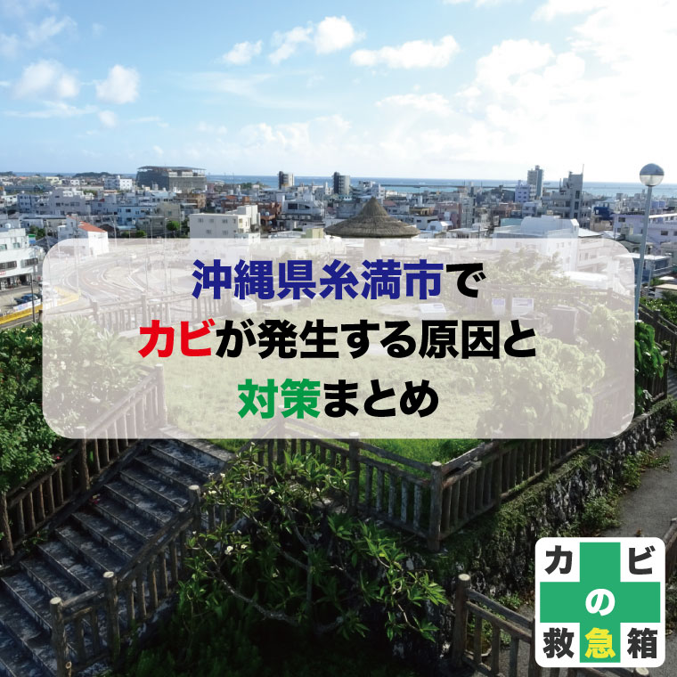 沖縄のしつこい湿気対策に！