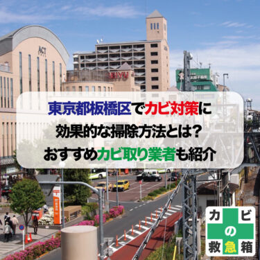プロ直伝！東京都板橋区でカビ対策に効果的な掃除方法とは？おすすめカビ取り業者も紹介