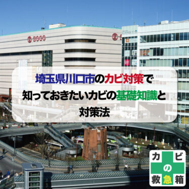 埼玉県川口市のカビ対策で知っておきたいカビの基礎知識と対策法