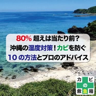 80%超えは当たり前？知られざる沖縄の湿度対策！カビを防ぐ10の方法とプロのアドバイス