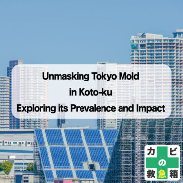 Unmasking Tokyo Mold in Koto-ku: Exploring its Prevalence and Impact