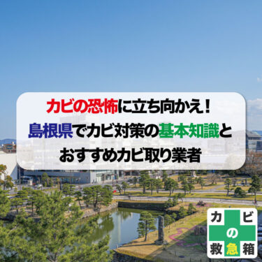 カビの恐怖に立ち向かえ！島根県でカビ対策の基本知識とおすすめカビ取り業者
