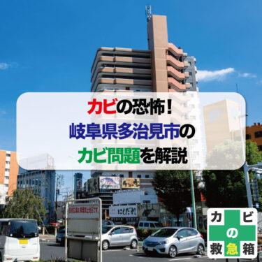 岐阜県多治見市のカビ問題を解説　原因と対策について　おすすめカビ取り専門業者も紹介