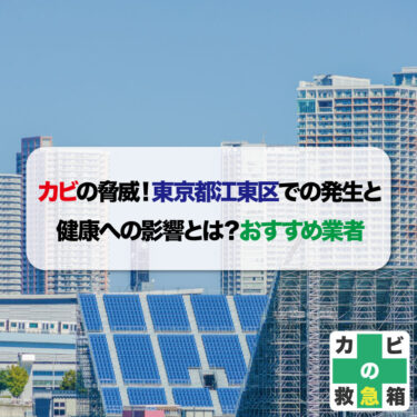 カビの脅威！東京都江東区での発生と健康への影響とは？おすすめ業者