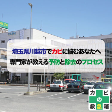 埼玉県川越市でカビに悩むあなたへ。専門家が教える予防と除去のプロセスとおすすめカビ取り業者