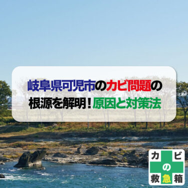 岐阜県可児市のカビ問題の根源を解明！岐阜県可児市での原因と対策法