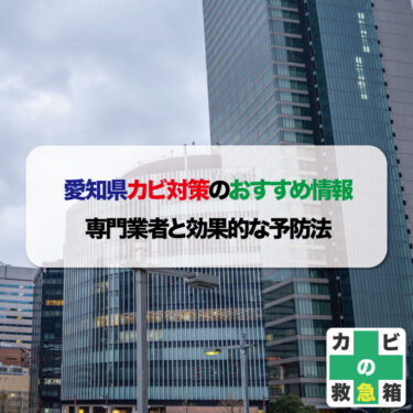 愛知県カビ対策のおすすめ情報：専門業者と効果的な予防法