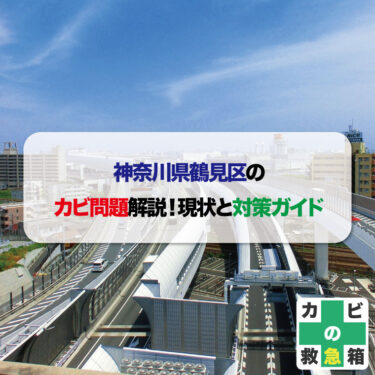 神奈川県鶴見区のカビ問題解説！現状と対策ガイド