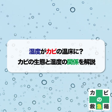 湿度がカビの温床に？カビの生態と湿度の関係を解説