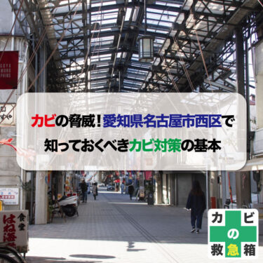 カビの脅威！愛知県名古屋市西区で知っておくべきカビ対策の基本