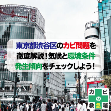 東京都渋谷区のカビ問題を徹底解説！気候と環境条件、発生傾向をチェックしよう！