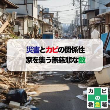 災害とカビの関係性：家を襲う無慈悲な敵