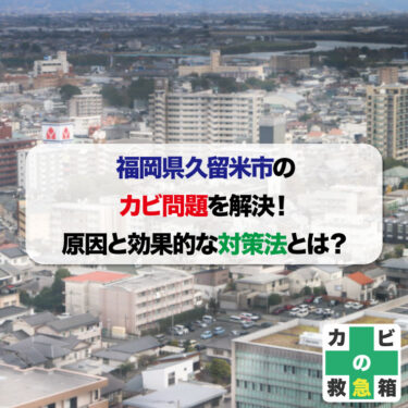 福岡県久留米市のカビ問題を解決！カビの原因と効果的な対策法とは？