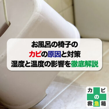 お風呂の椅子のカビの原因と対策：湿度と温度の影響を徹底解説！