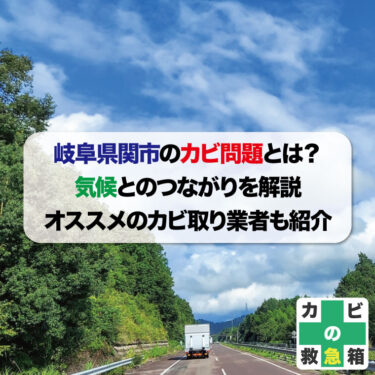 岐阜県関市のカビ問題とは？気候とのつながりを解説