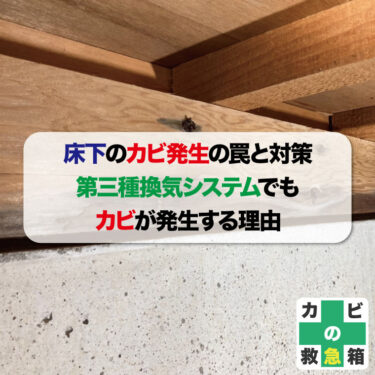 床下のカビ発生の罠と対策：第三種換気システムでもカビが発生する理由