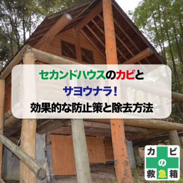 セカンドハウスのカビとサヨウナラ！効果的な防止策と除去方法
