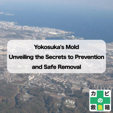 Yokosuka’s Mold: Unveiling the Secrets to Prevention and Safe Removal