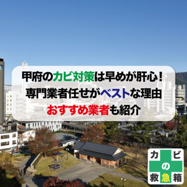 甲府のカビ対策は早めが肝心！専門業者任せがベストな理由