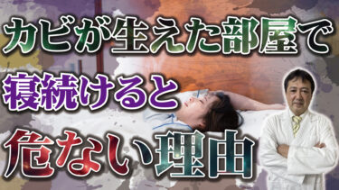 カビが生えた寝室で寝続けるとどうなるか？【YouTube】