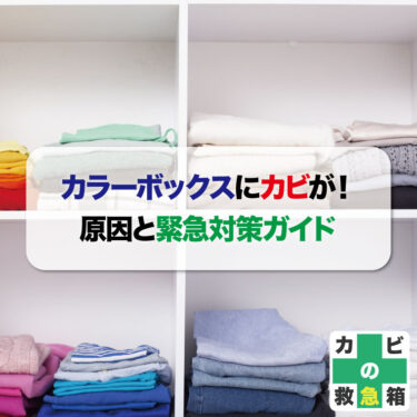 カラーボックスにカビが！原因と緊急対策ガイド
