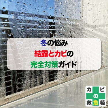 冬の悩み、結露とカビの完全対策ガイド