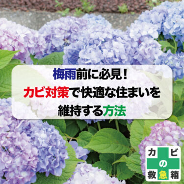 梅雨前に必見！カビ対策で快適な住まいを維持する方法