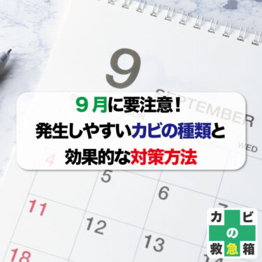 9月に要注意！発生しやすいカビの種類と効果的な対策方法