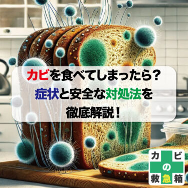 カビを食べてしまったら？症状と安全な対処法を徹底解説！