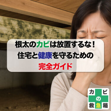 根太のカビを放っておくと大変！住宅と健康を守るための完全ガイド