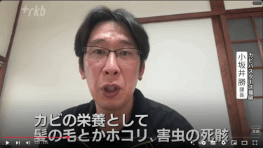 【メディア情報】カビバスターズ福岡