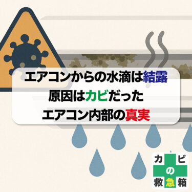 エアコンからの水滴は結露　原因はカビだった！プロが教えるエアコン内部の真実