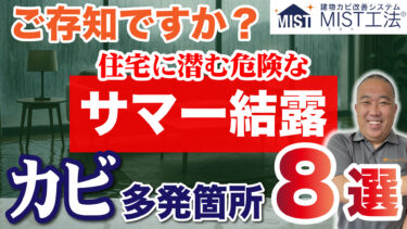 夏なのに結露！？サマー結露でカビが大量発生する理由と対策