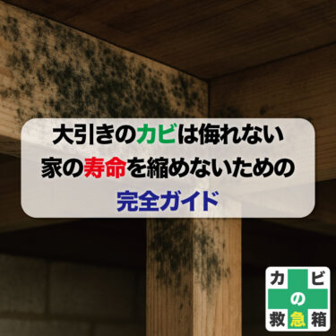 大引きのカビは侮れない｜家の寿命を縮めないための完全ガイド
