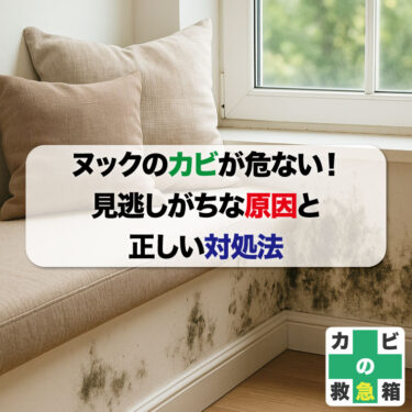 ヌックのカビが危ない！見逃しがちな原因と正しい対処法