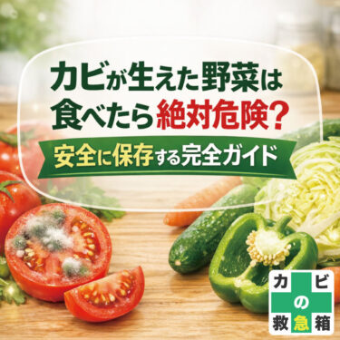 カビが生えた野菜は食べたら絶対危険？安全に保存する完全ガイド