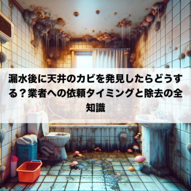 漏水後に天井のカビを発見したらどうする？業者への依頼タイミングと除去の全知識