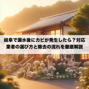 岐阜で漏水後にカビが発生したら？対応業者の選び方と除去の流れを徹底解説