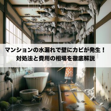 マンションの水漏れで壁にカビが発生！対処法と費用の相場を徹底解説
