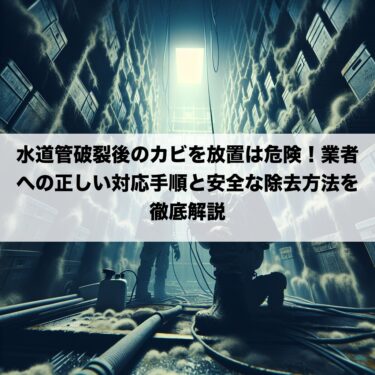 水道管破裂後のカビを放置は危険！業者への正しい対応手順と安全な除去方法を徹底解説
